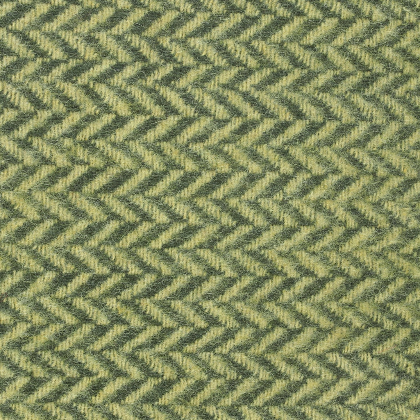 Merino Wool Scarf in Fine Chevron - TreeWool Scarf#color_olive-green-ivory